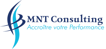 Logo MNT-consulting